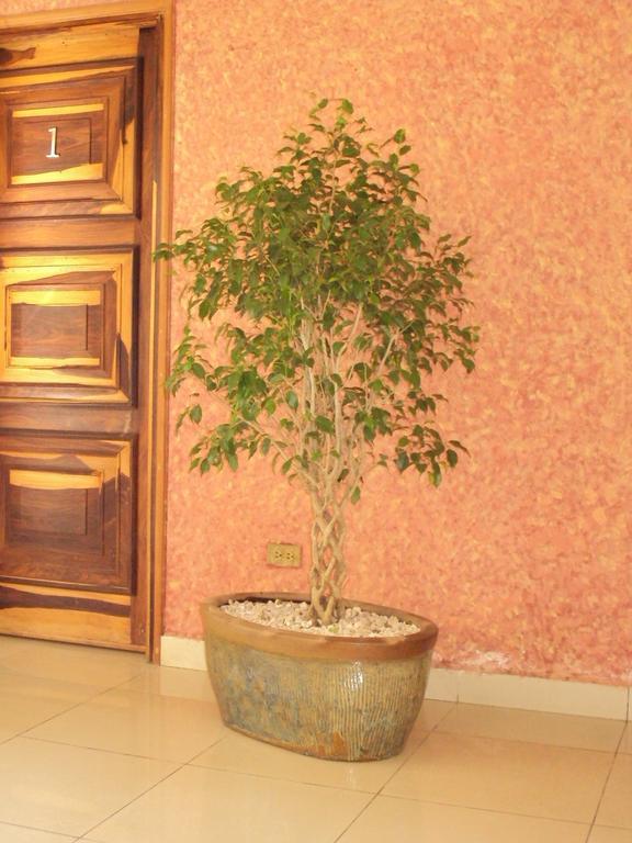 Hotel Aloha Манагуа Екстериор снимка