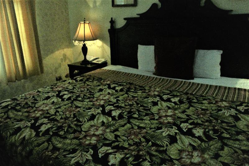 Hotel Aloha Манагуа Екстериор снимка